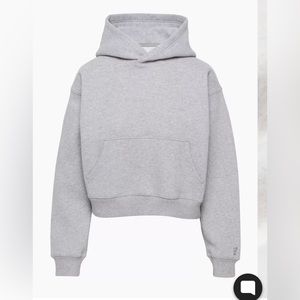 TNA M shrunken boyfriend hoodie in heather grey
